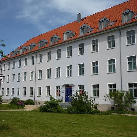 Hanse Haus Pension Greifswald Bagian luar foto